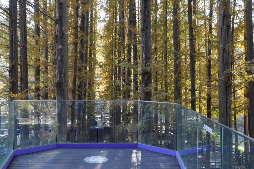 제320회 임시회 선진지 견학 [청주 청남대] 이미지(6)