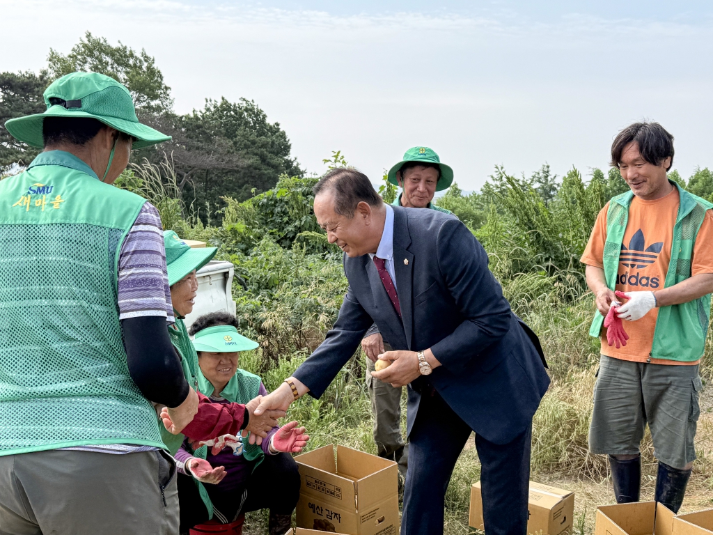 오가면 새마을남녀지도자협의회 감자캐기 행사 이미지(1)