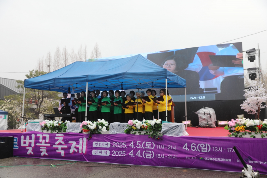 삽교읍 충의로 벚꽃축제