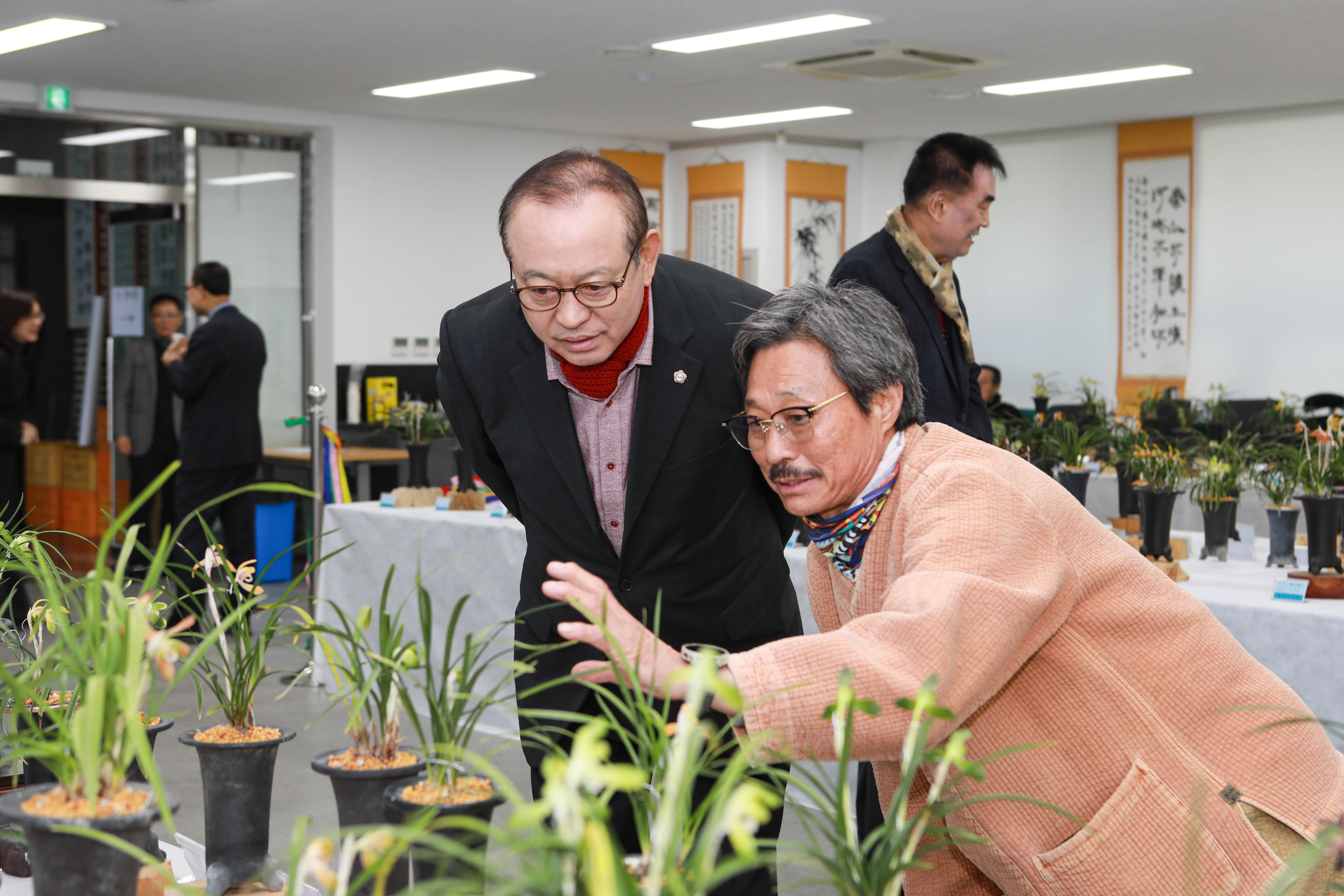 '예산난우회 한국춘란전시회' 게시글의 사진(1) '049A7063 복사.jpg'