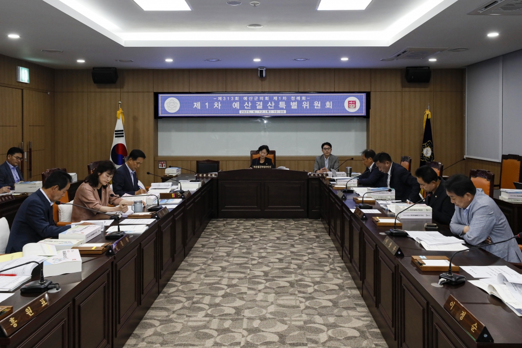 2025년 6월 12일 예산결산특별위원회