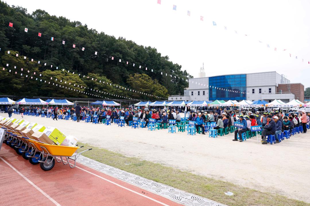 '제31회 신양면 한마음 체육대회' 게시글의 사진(10) '_59A0515 복사.jpg'